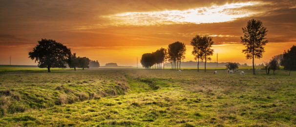 Post with fullwidth image & lightbox